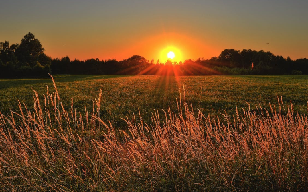 OR Solar Leads Make Beautiful Oregon an Amazing Renewable Growth Opportunity