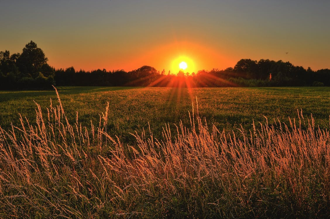 or-solar-leads-make-beautiful-oregon-to-an-amazing-renewable-growth