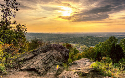 Alabama Solar Leads: A Thrilling Odyssey into the Light of Savings